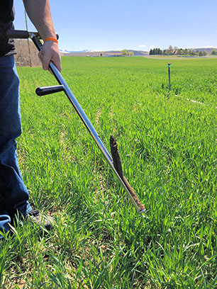 Soil Sampler Probe – Dimo's Tool & Die/Labtronics | Winnipeg Manitoba